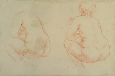 Studien weiblicher Akte